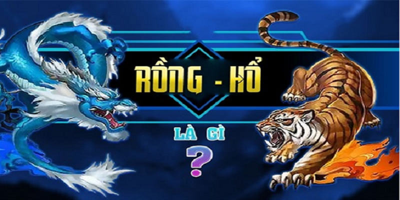 Cách chơi Rồng Hổ: Chiến thuật đơn giản, thắng lớn nhanh chóng!