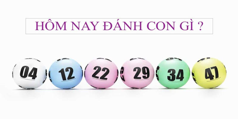 Hôm Nay Đánh Con Gì? Cách Chọn Số Hiệu Quả