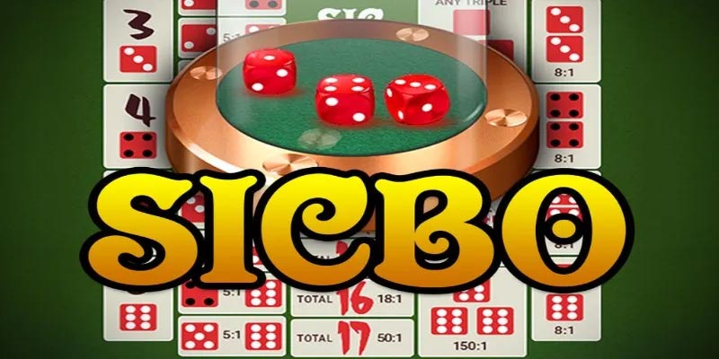 Chơi sicbo online - Trải nghiệm thú vị