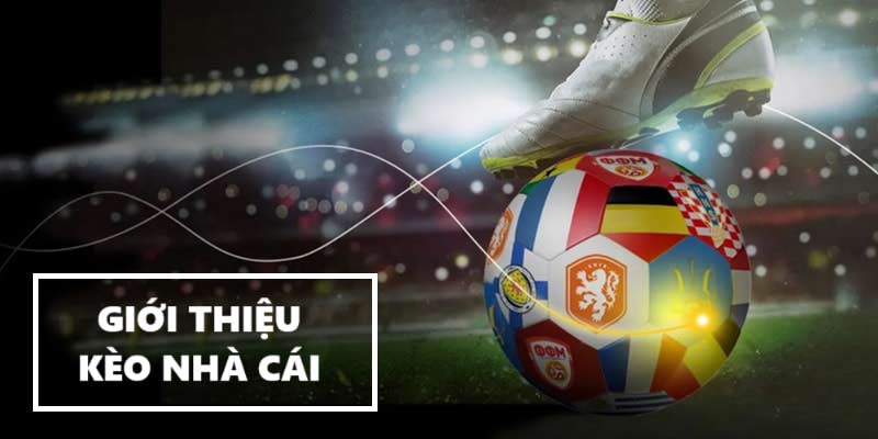 Kèo Nhà Cái - Hướng Dẫn Hiểu Tỷ Lệ Cá Cược