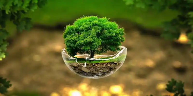 5 Xu Hướng Sống Xanh 2025: Eco-Lifestyle